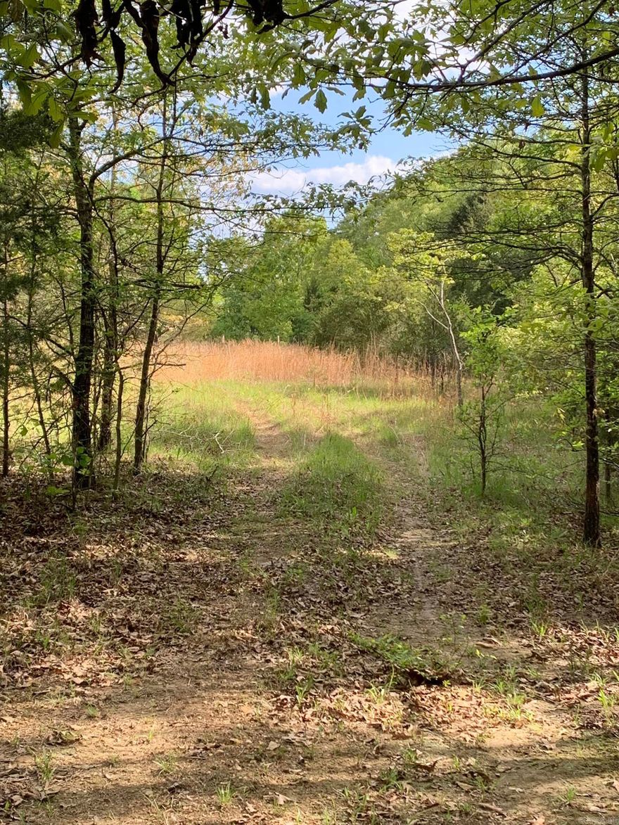 Welcome to the Market 20 mostly flat acres in Ravenden, Arkansas in the Foothills of the Ozark Mountains.  Perfect Unrestricted Land near The Spring River.  20 Beautiful Acres Perfect For A Hunting Club, Camping, building mini cabins for nightly rentals close to the river or Building the Home Of Your Dreams    Electric is close by the property....  The back of the property down the long trail has a fabulous view.  Less than 5 miles to the Spring River Boat Dock.  2.5 Miles to Wautauga Springs  Wutauga Spring is a natural flowing roadside spring enjoyed by locals and others passing through our area for over 100 years with crystal clear spring water.  To this day people from all over Northeast Arkansas stop at Wautauga to fill jugs and jars with some of the best natural spring water.   Call Us & Schedule Your Tour TODAY!