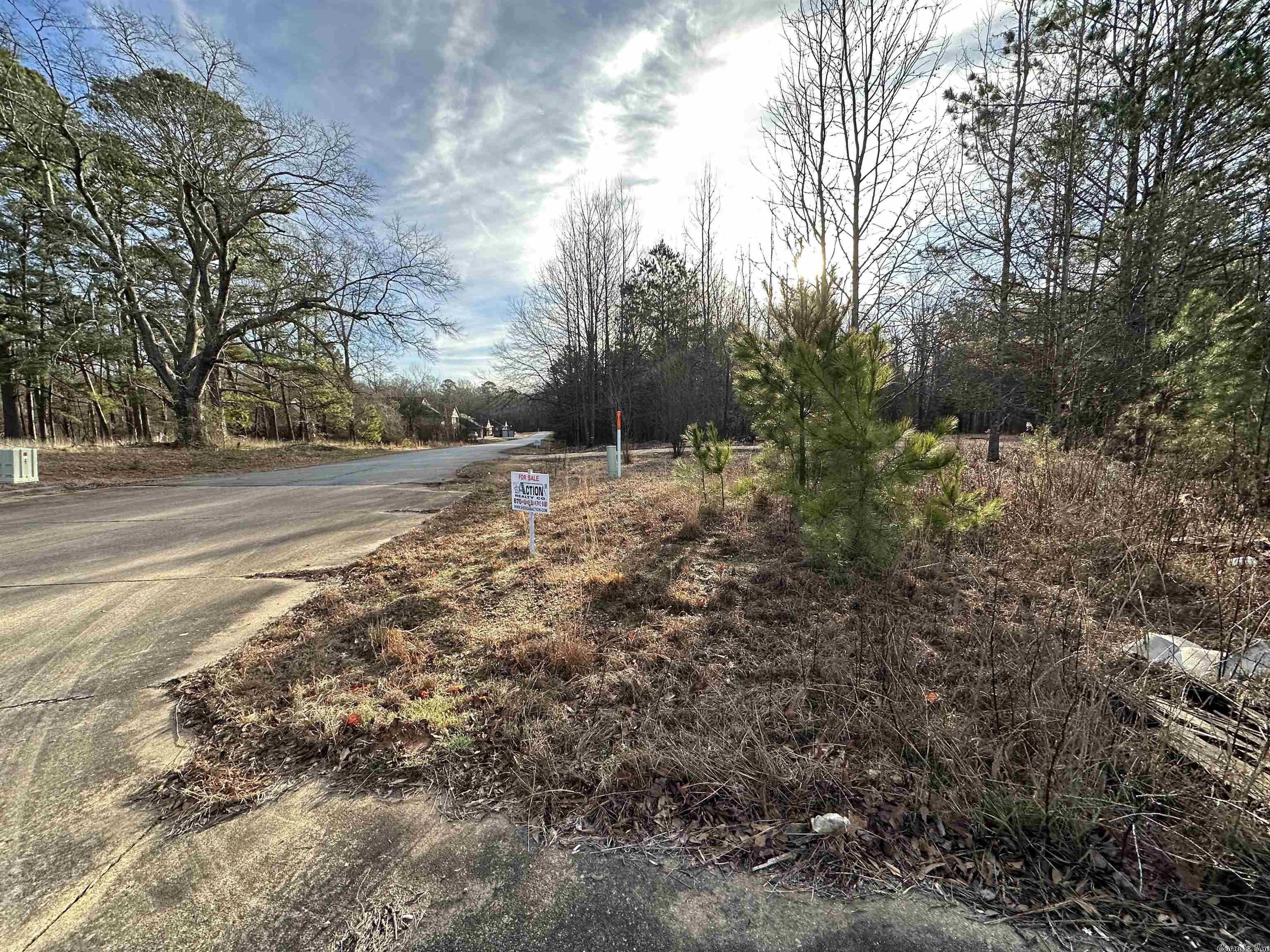 Photo 4 of 4 of 303 Fiser Drive land