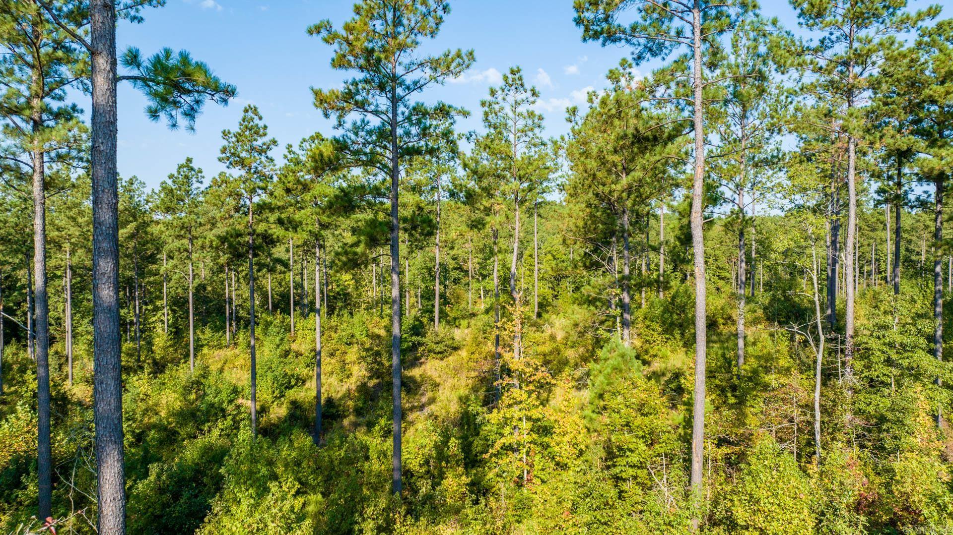 CANYON CREEK VILLAGE - Land