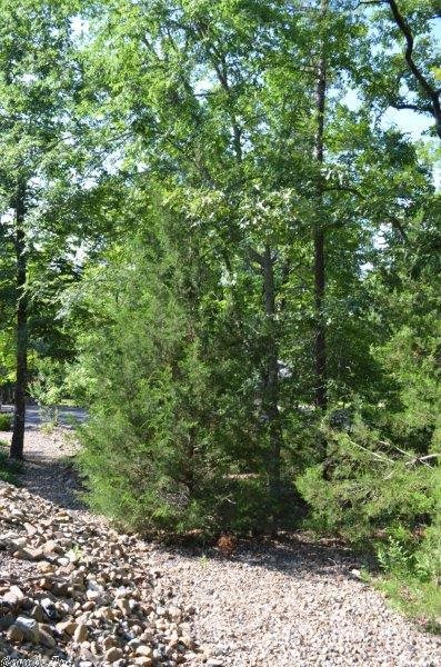 Estancia - Residential