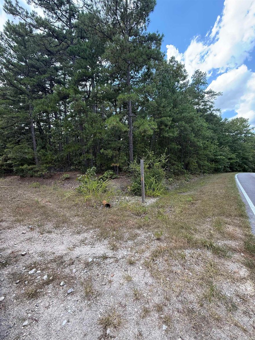 Great corner lot that has a gentle slope. Opportunity awaits for you to build your retirement home or dream home in Hot Spring Village. You can enjoy golf courses within a short golf cart drive, or maybe take time to take a dip in the lake that is just minutes away. This lot is located in a spot to be in the mix within minutes.