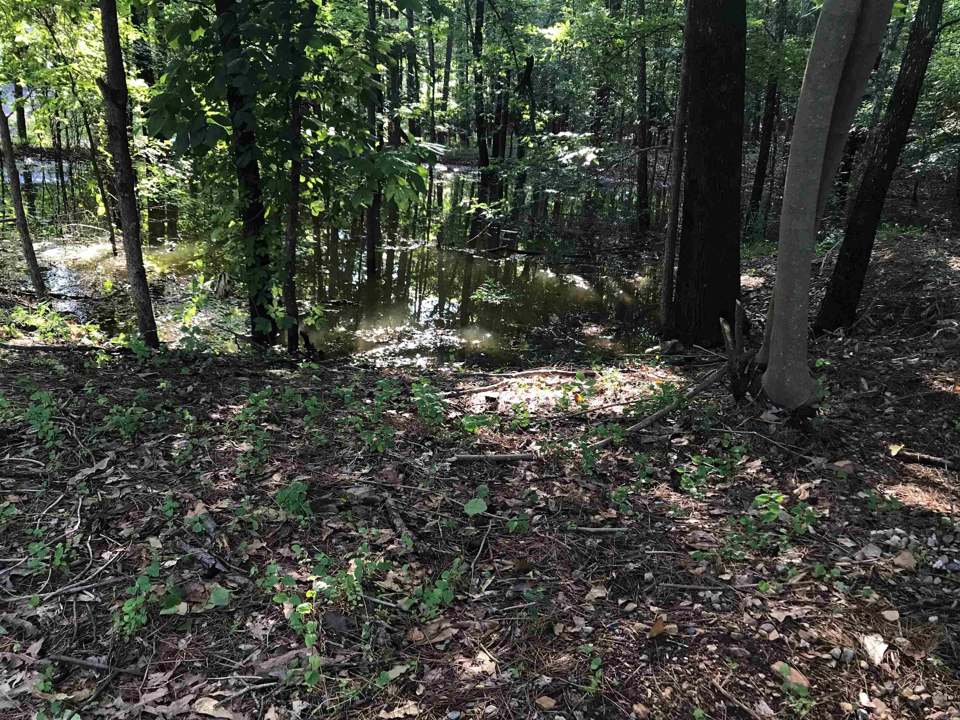 Rector Heights - Land