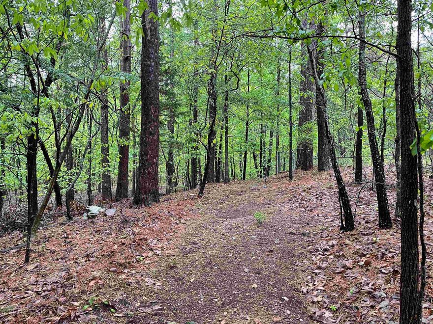 30± Acres Adjoining Hot Springs National Park – Prime Development or Private Estate Opportunity  Approximately 30± acres of undeveloped wooded land in Hot Springs, Arkansas, directly adjoining Hot Springs National Park. This rare offering combines natural surroundings with everyday convenience, located within walking distance to shopping and just 10 minutes from Downtown Hot Springs.  The property features mature trees, varied topography, and a creek running through the land, offering multiple potential homesites or future development possibilities (subject to city/county approval). Suitable for a private estate, residential development, or long-term investment in a growing area.  Enjoy direct access to the natural beauty of Hot Springs National Park while remaining close to dining, medical facilities, and retail amenities.  Buyer to verify utilities, zoning, acreage, access, and development feasibility.