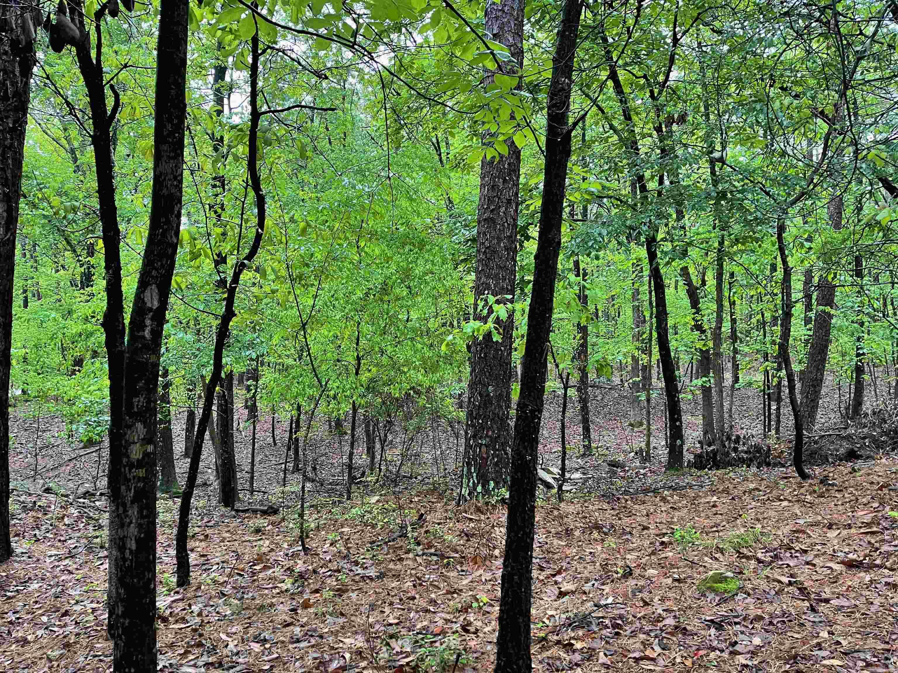 Rector Heights - Land