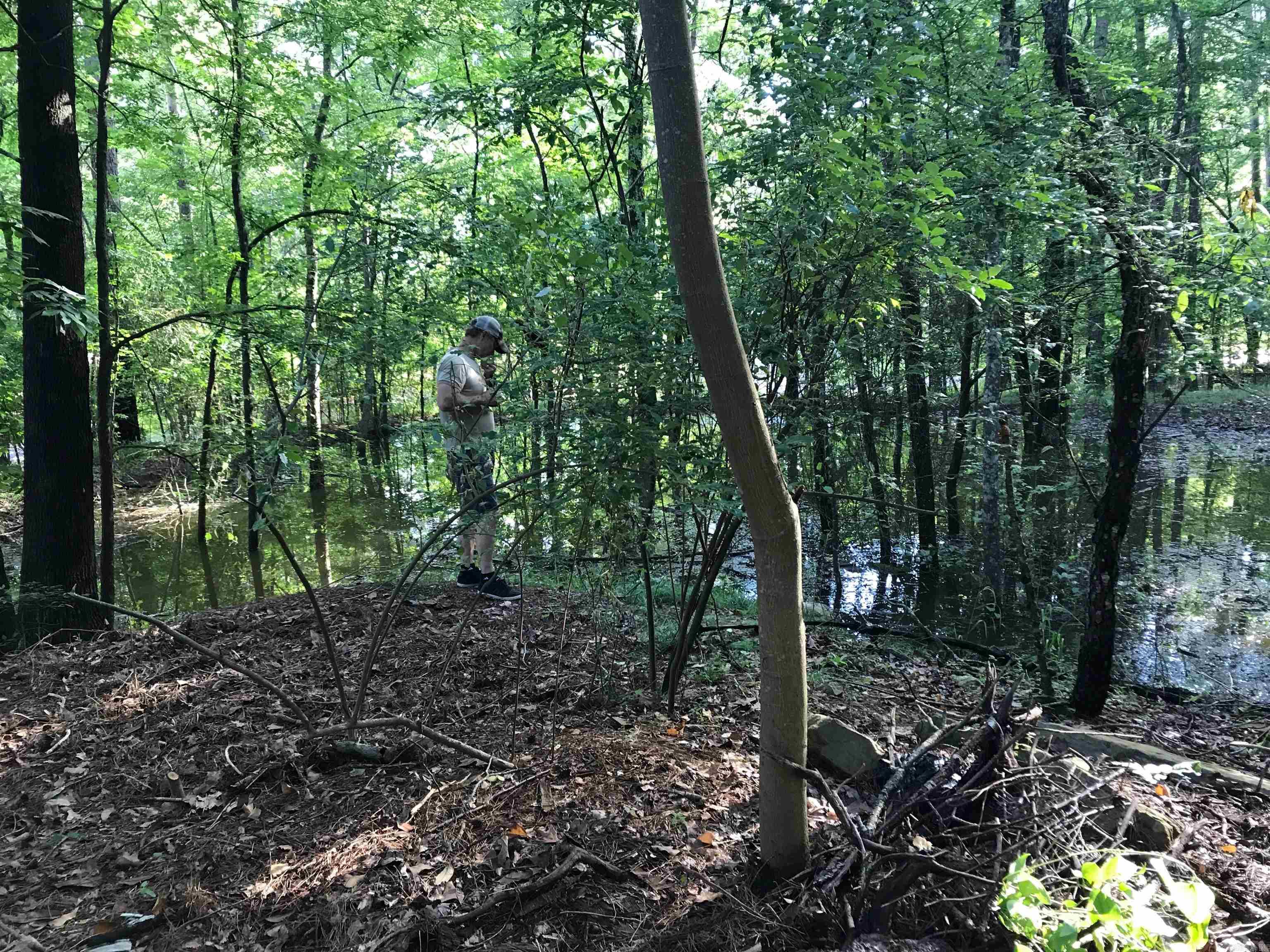 Rector Heights - Land