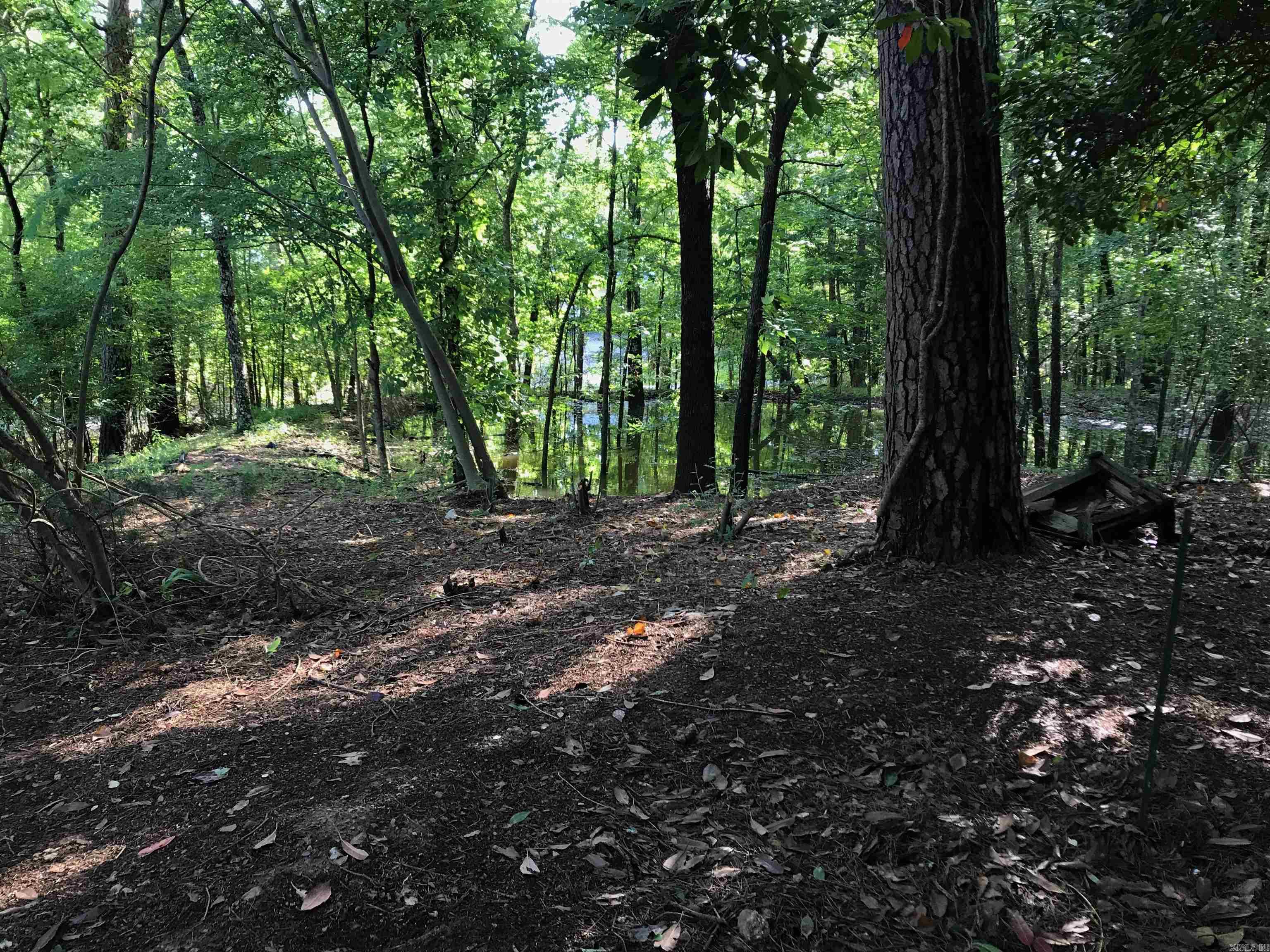 Rector Heights - Land