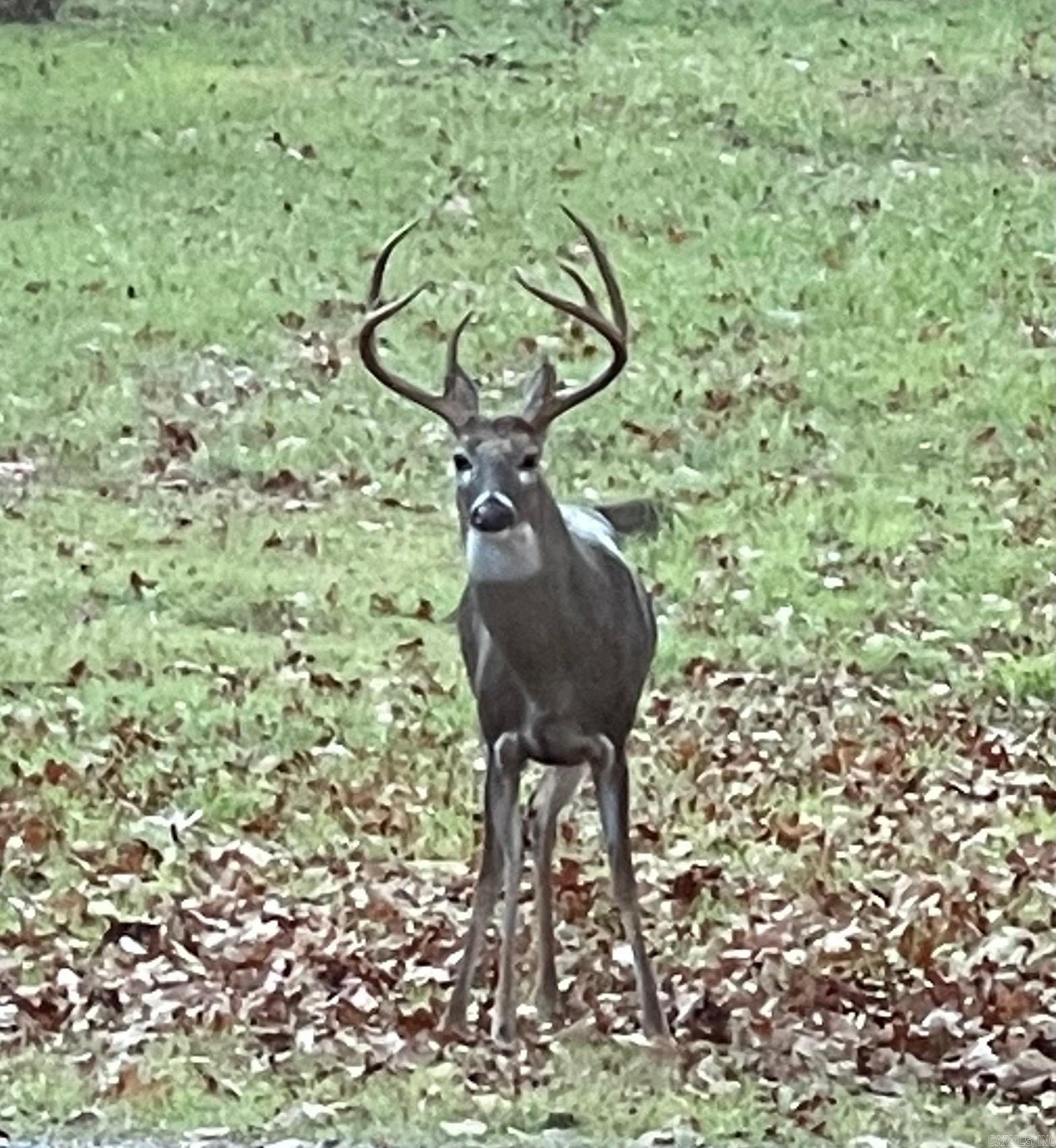 Rector Heights - Land