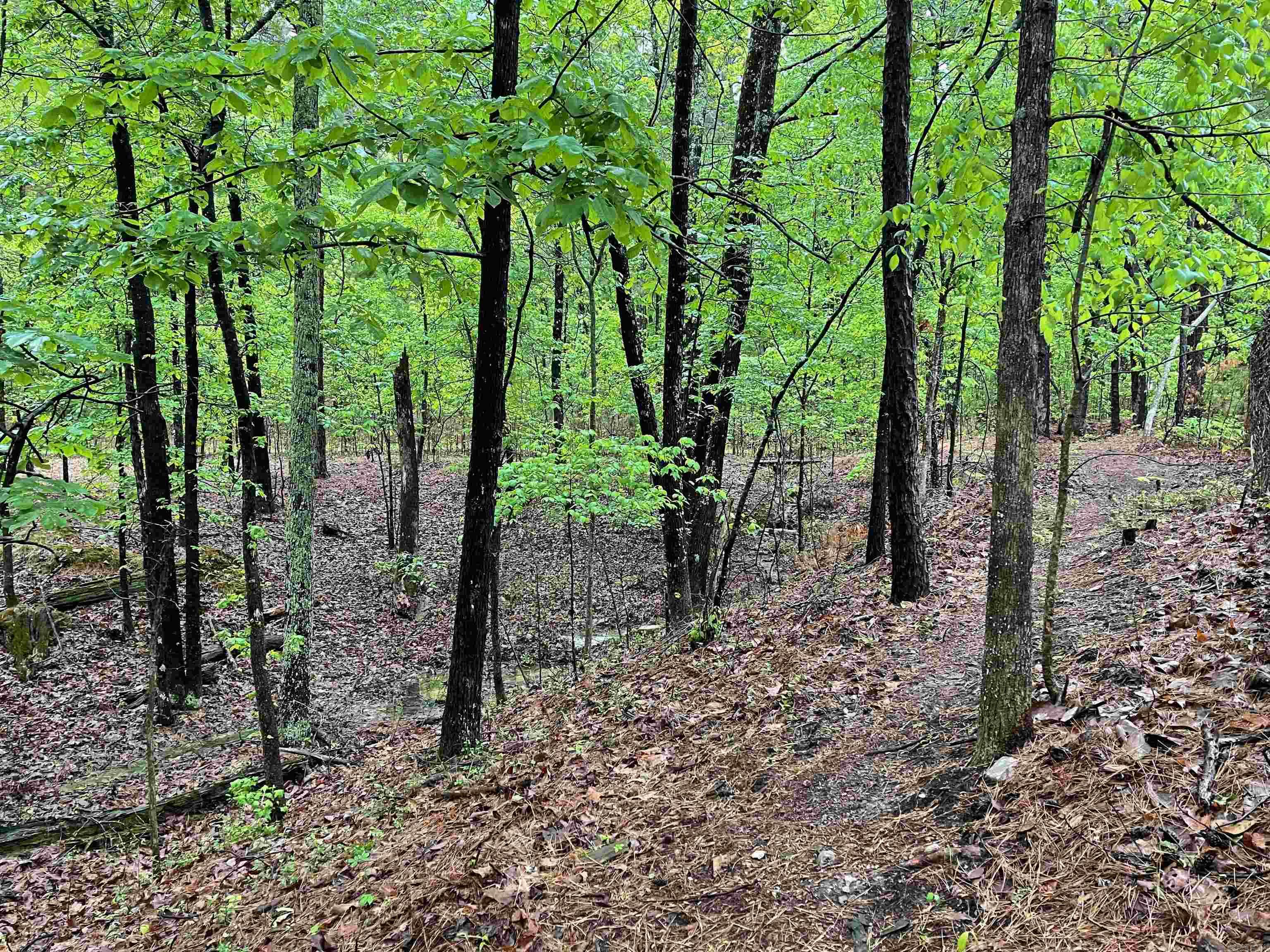 Rector Heights - Land