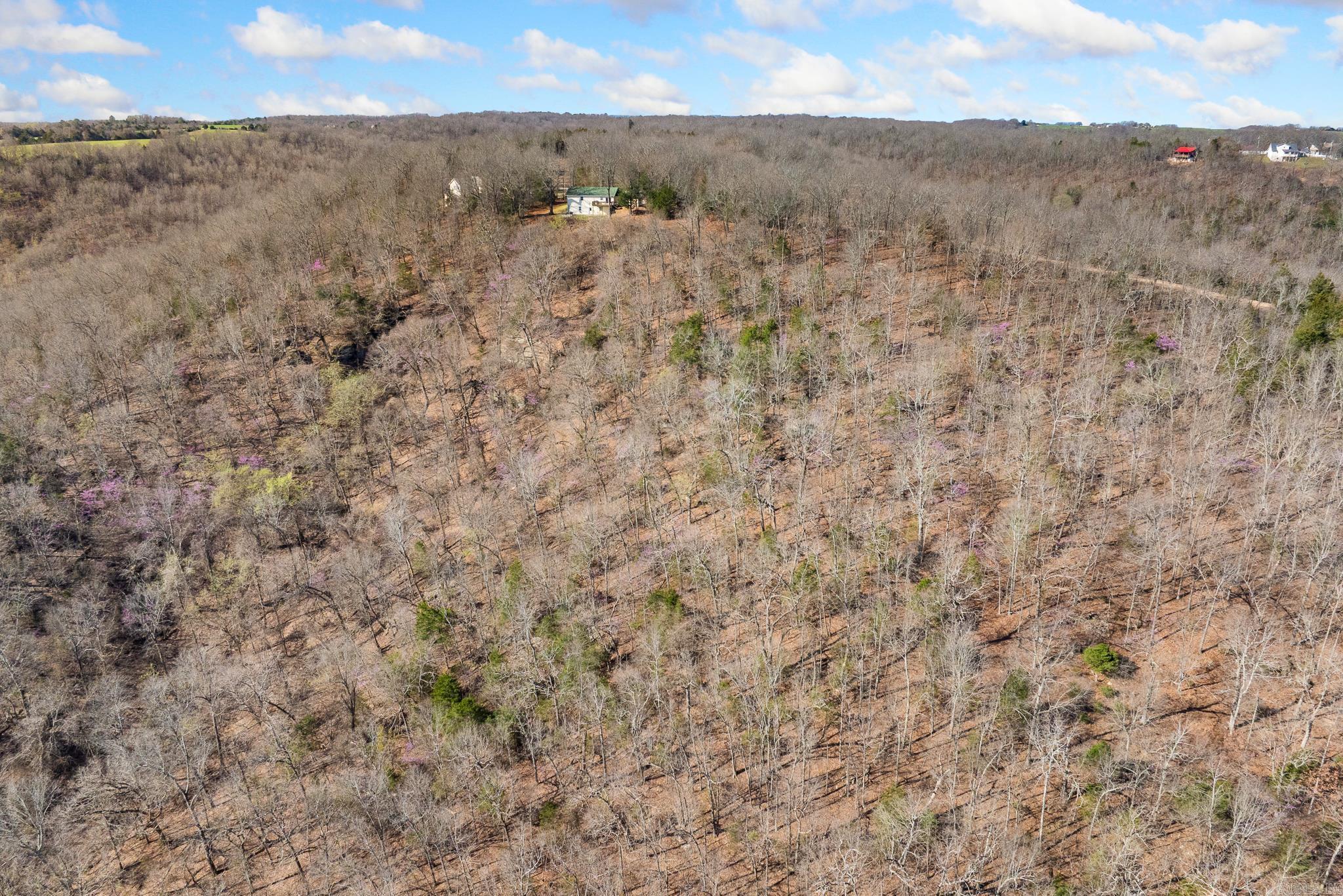 COUNTRY HILLS ESTATE - Residential