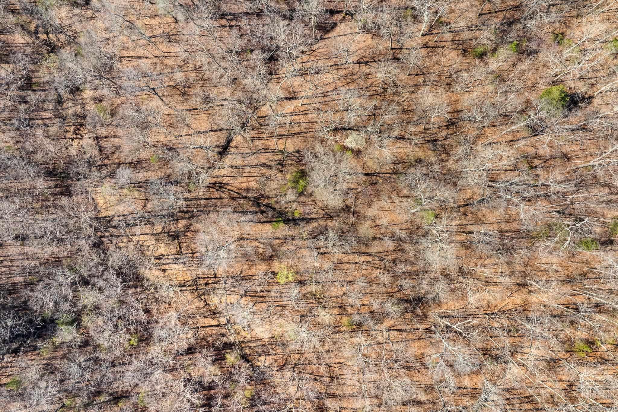 COUNTRY HILLS ESTATE - Residential