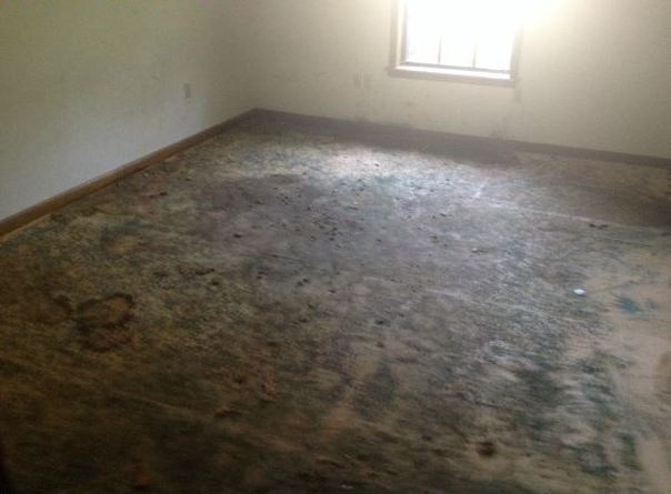 Shiloh - Residential