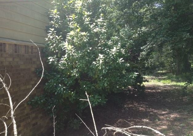 Shiloh - Residential