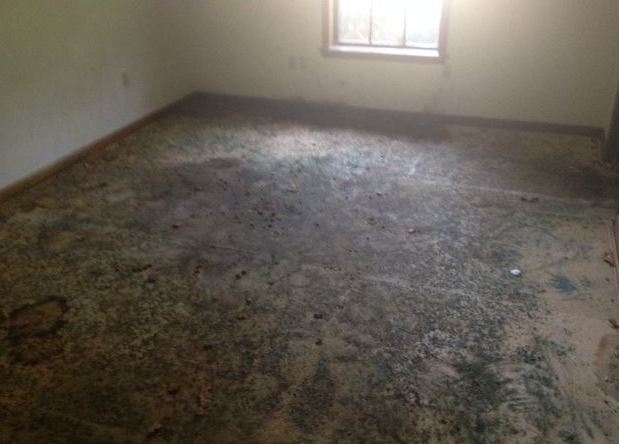 Shiloh - Residential