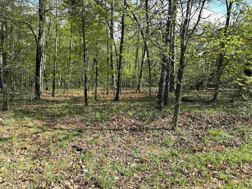 Don't wait to make a move on this level and buildable lot located on the desirable East end of Hot Springs Village. Just 5 mins from the East Gate, convenient to Highway 5. You'll enjoy the quiet street in this Ponce De Leon Golf Course neighborhood. Hot Springs Village consists of 26,000 acres with 11 Lakes and 9 golf courses. With numerous hiking trails, Pickleball Courts and social clubs... there's something for everybody! Call today for more info!