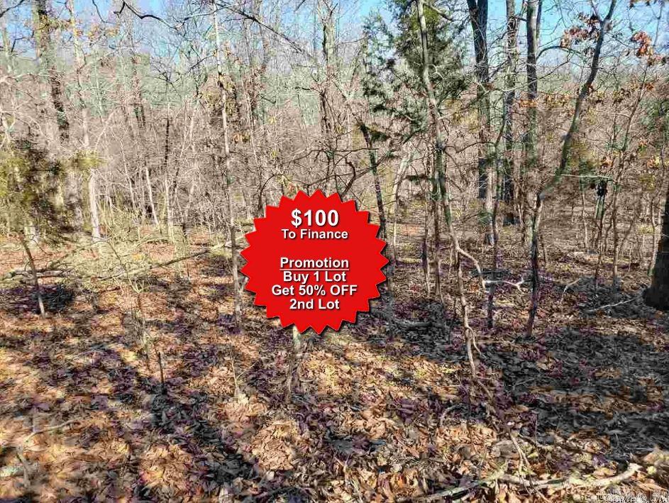 Buy one lot and get 50% off an additional lot! Owner-finance for easy terms. Cash buyers can pay by debit or credit card as well. Nice lot to develop or hold for future value. Public water and electric are available to run to property and will need septic. Owner/agent. No mobiles allowed. 1000 minimum build size on any other type of home, depending on subdivision. Finance is $100 down and 10 months at $99 and closing costs are included. Lots marked with red banner are part of promotion. No limit on lots. Buyer responsible for any/all taxes and lots sold "as-is". Quit claim deed conveys. Parcel ID# 390-20846-000