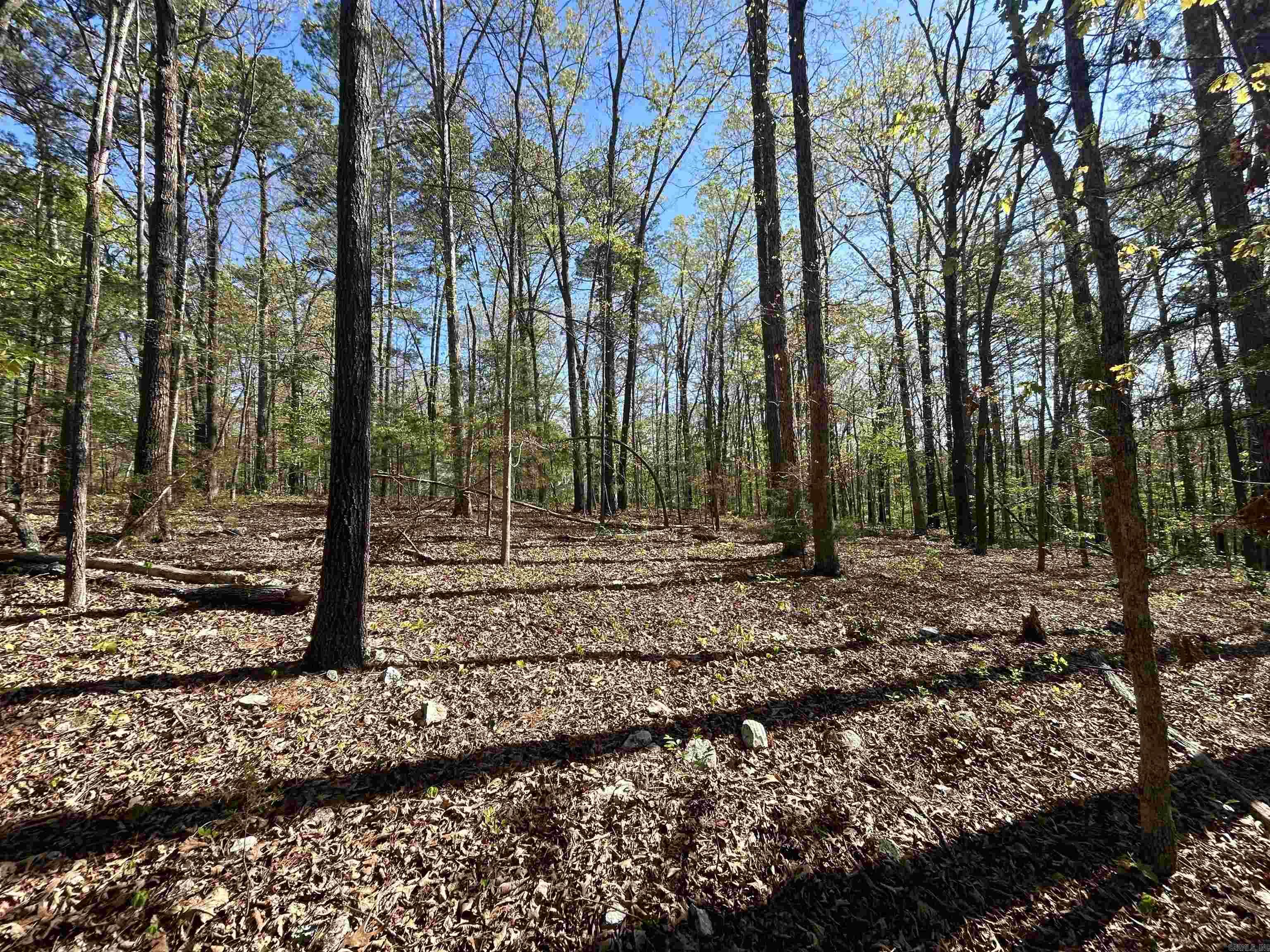 Mitchell Development - Land