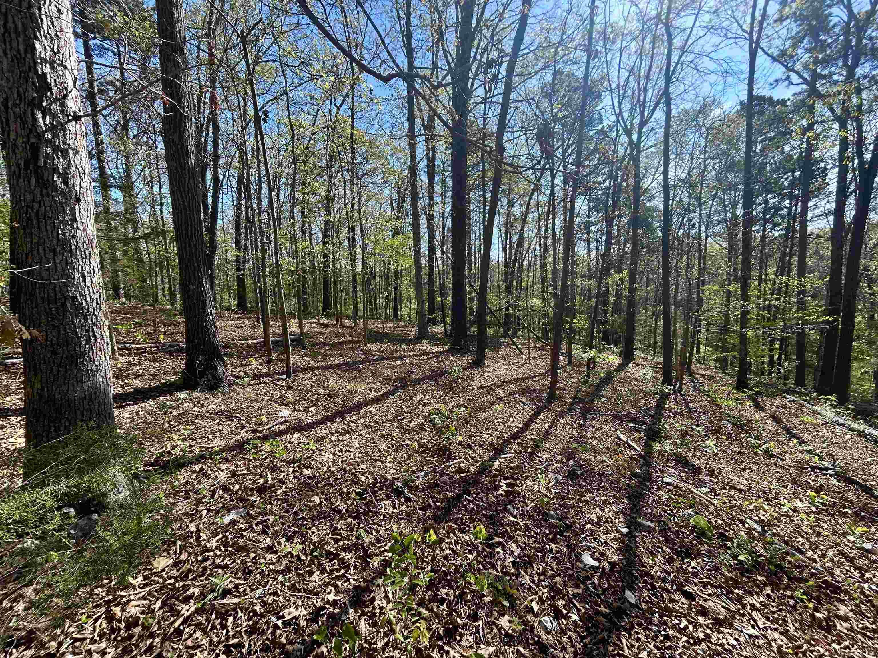 Mitchell Development - Land