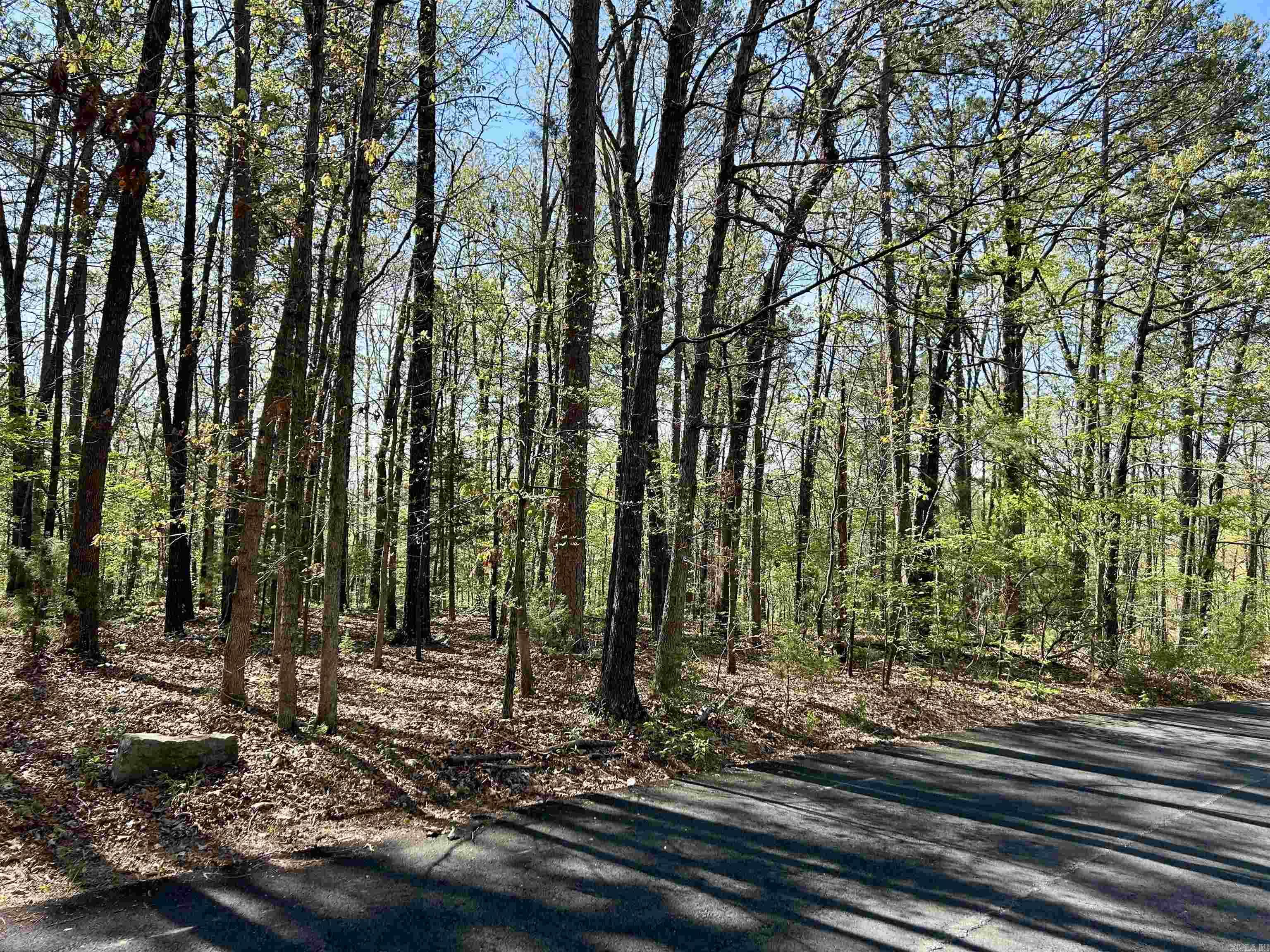 Mitchell Development - Land