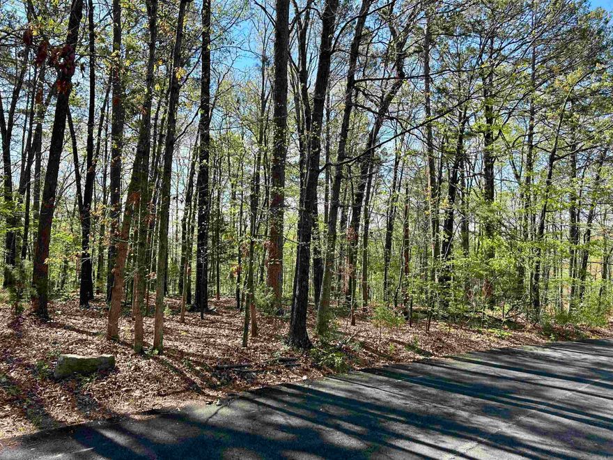 Tract 21 in Mitchell Development - Spacious and wooded 3.66 acre tract in a beautiful, well maintained and established neighborhood! Accessed by a paved street this lovely acreage is convenient to all that Mountain View has to offer. It is only 4.7 miles to the Stone County Courthouse Square and 2.5 miles to the White River. Utilities are at the street and the tract will require a septic system. There are a few simple restrictions to protect your investment and a 1,200 square foot minimum. No mobile homes. Build your Ozark Mountain dream home in this beautiful park-like setting!