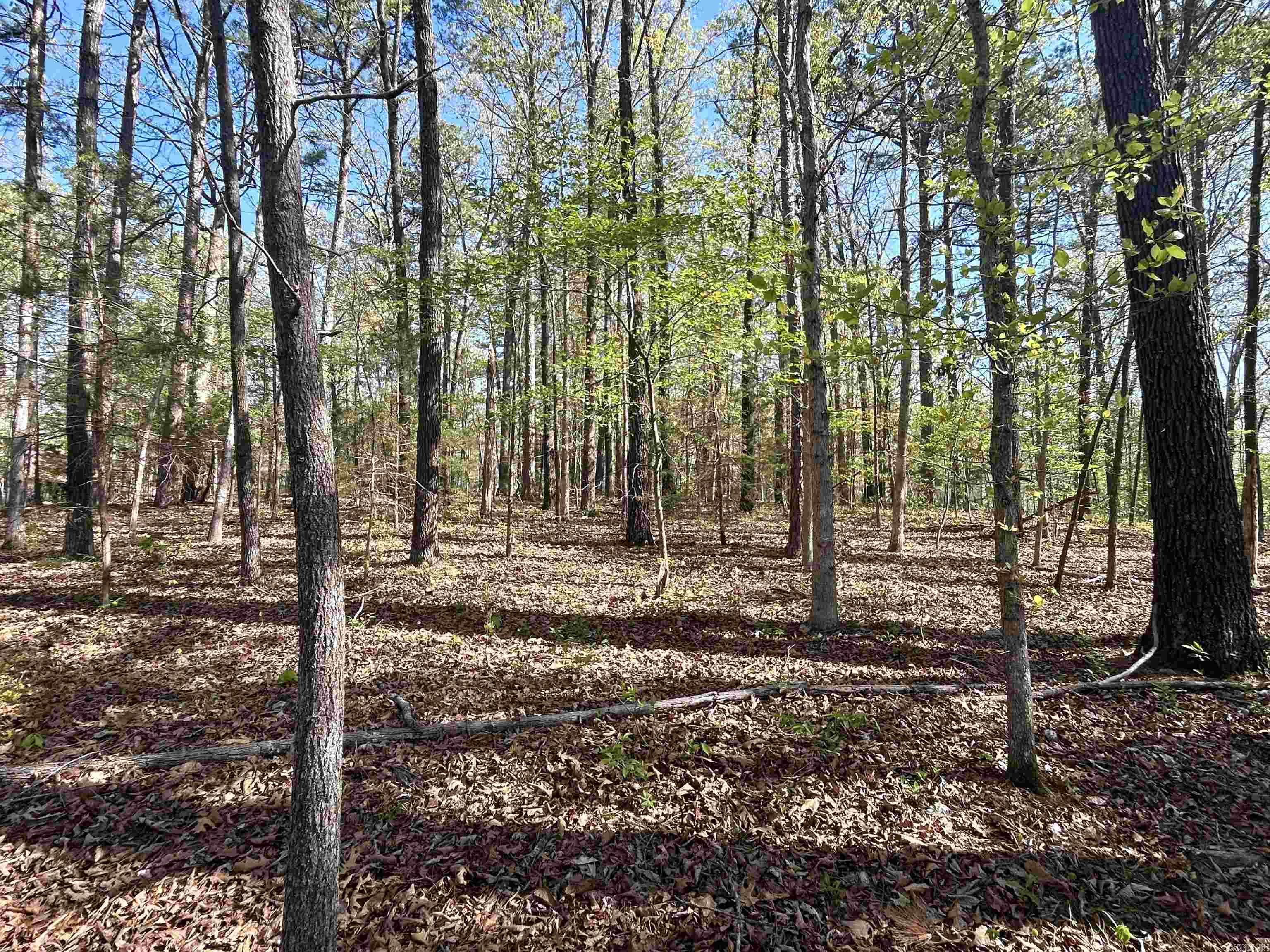 Mitchell Development - Land