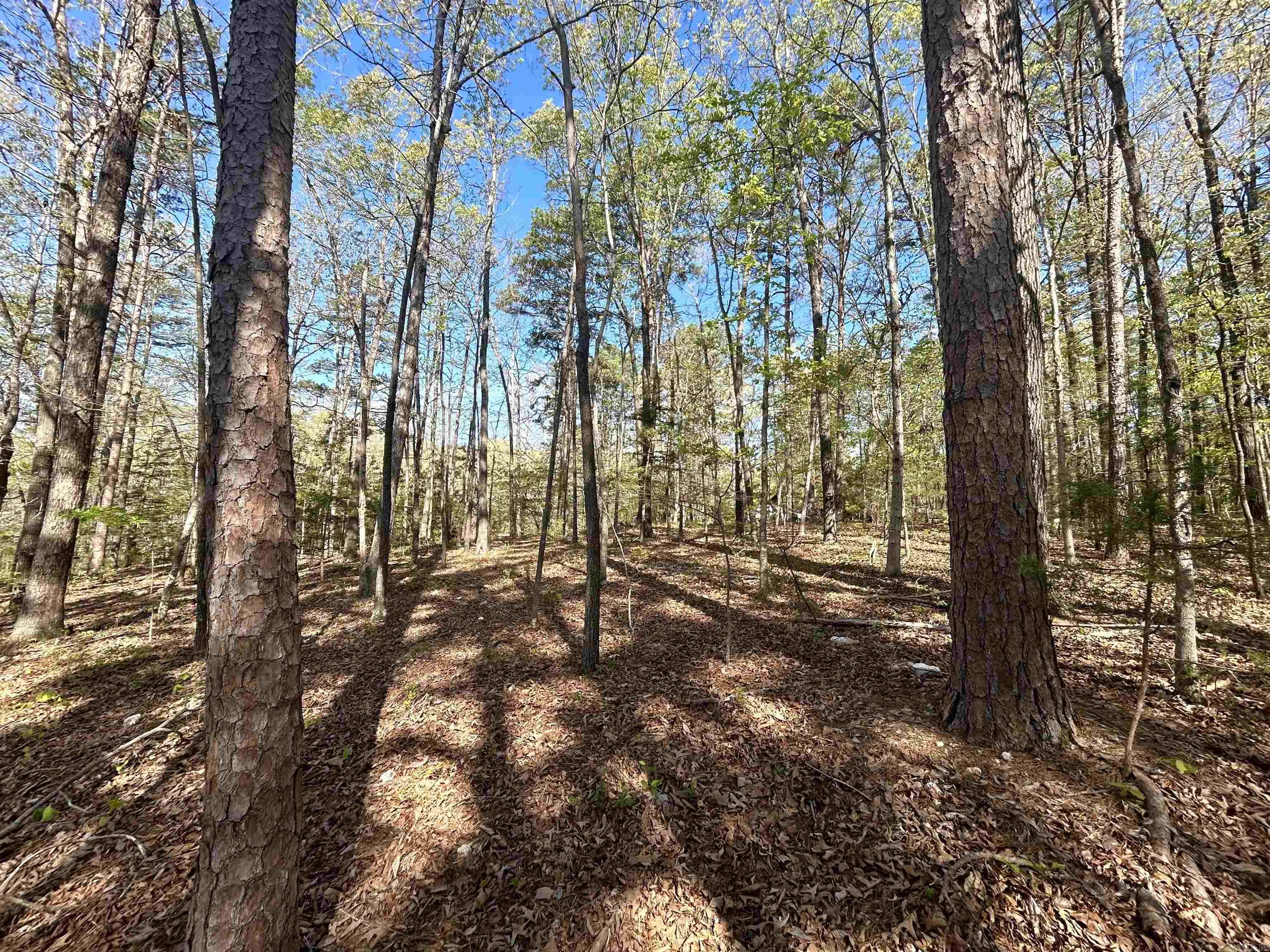 Mitchell Development - Land