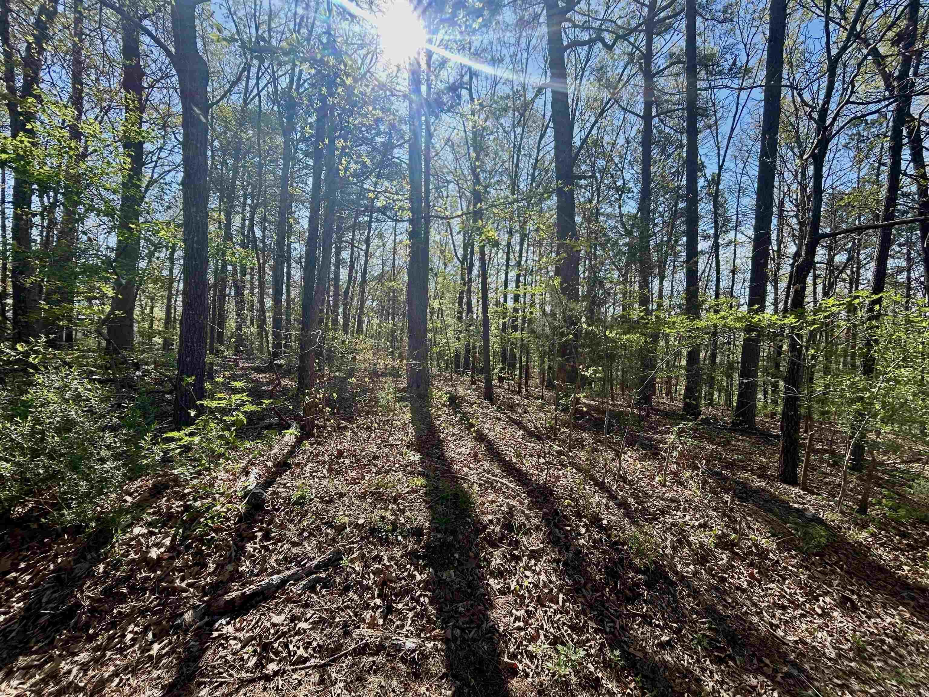 Mitchell Development - Land