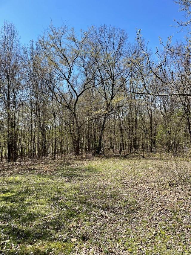 Photo 2 of 29 of 148 acres CR 303 land