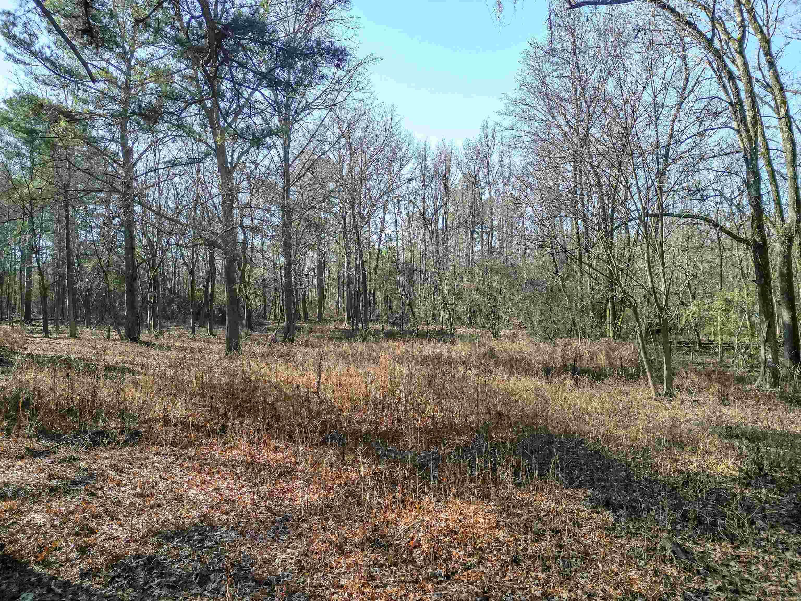 Metes & Bounds - Land