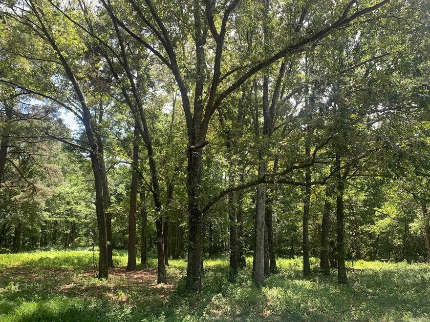 Take a look at the awesome 5 Ac tree shaded lot. Perfect building site. Great location! Out of city limits but still close to everything. No restrictions! Seller has a  perc test. Call for details today!