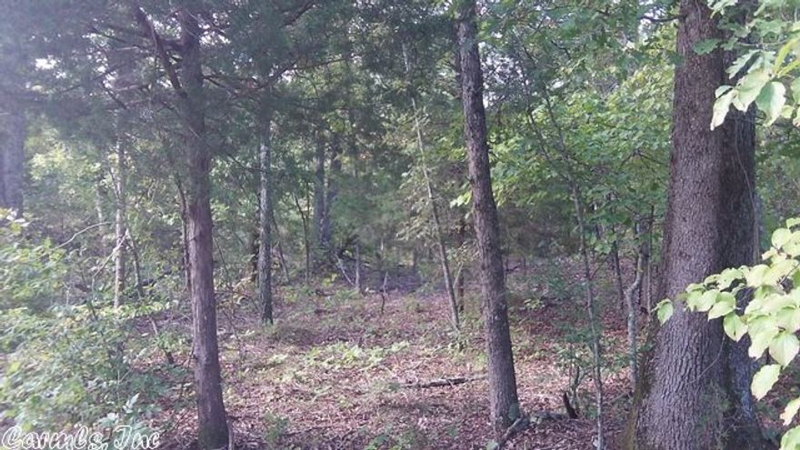 7 acres partially wooded beautiful country setting.