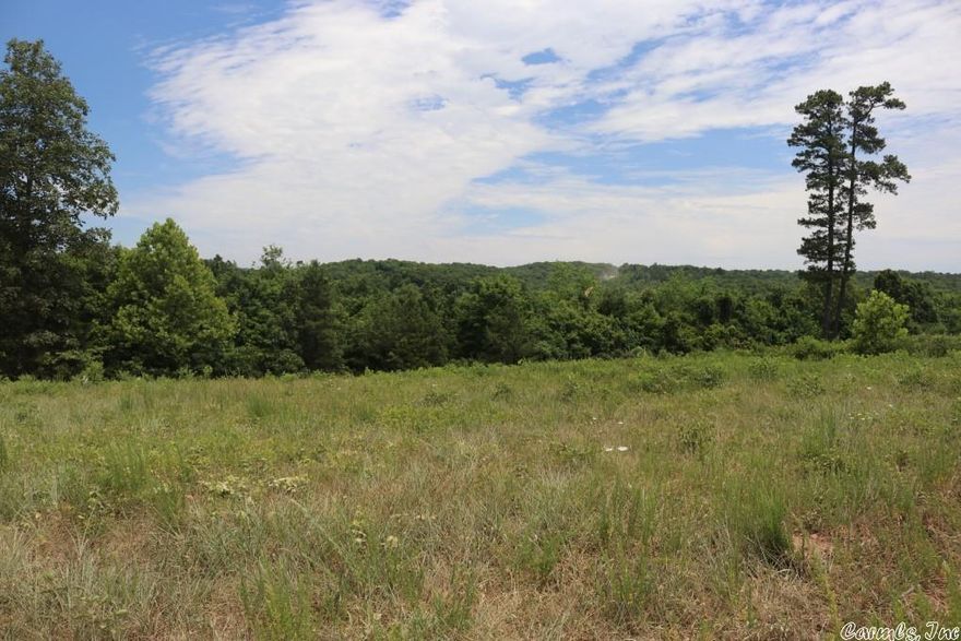 No.02192- Building Lot with a View in the Ozark Mountains- This lot is a great opportunity. Great place to build with county road frontage and a view of the mountains in the distance. A septic system has already been installed and power & water are available at the road. There are some building restrictions to protect your investment and located in a nice neighborhood. Only about 15 minutes from town where you will find great shopping, live music on the square, and restaurants. $25,000.