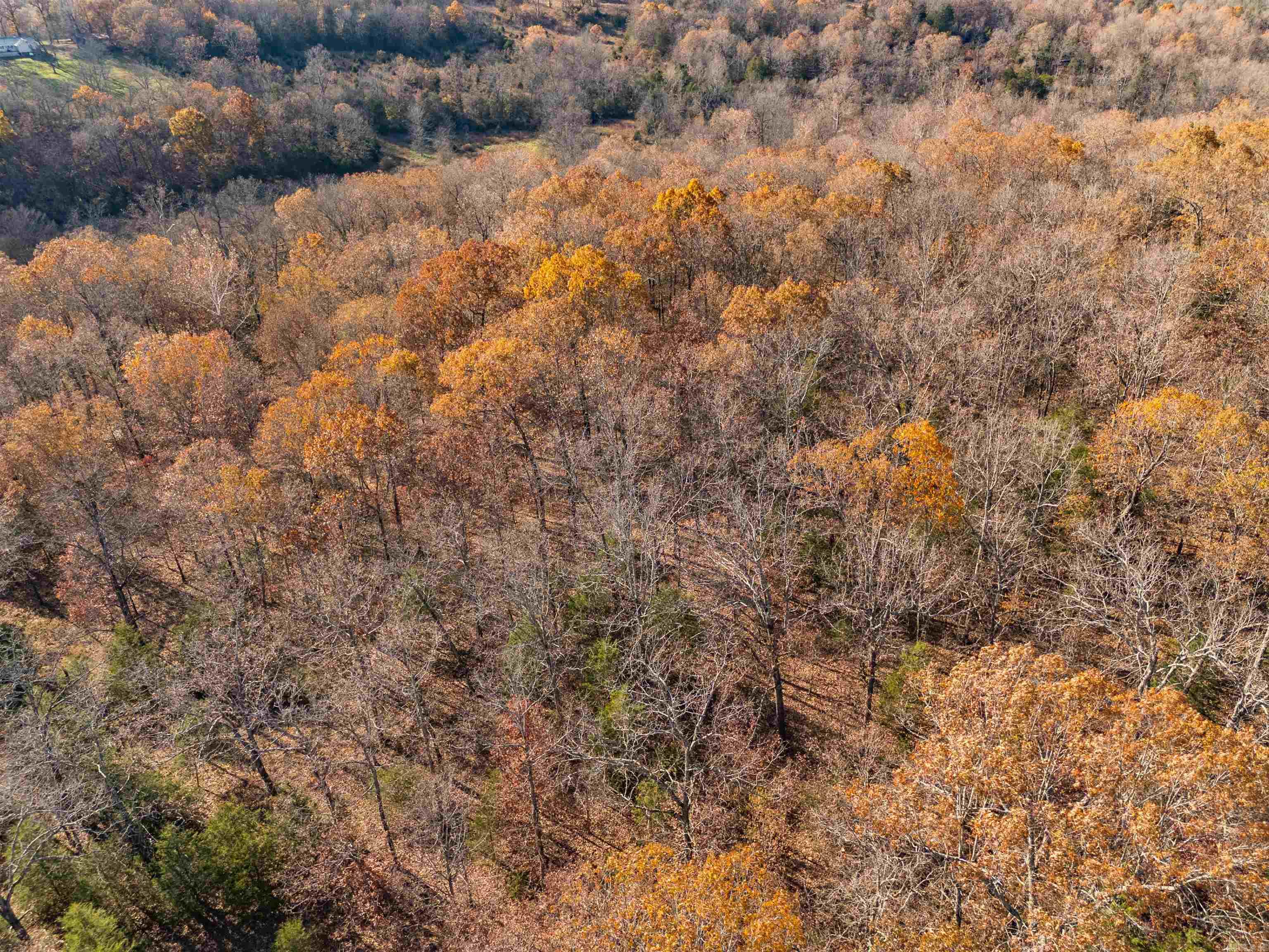 INDIAN HILLS EST - Residential