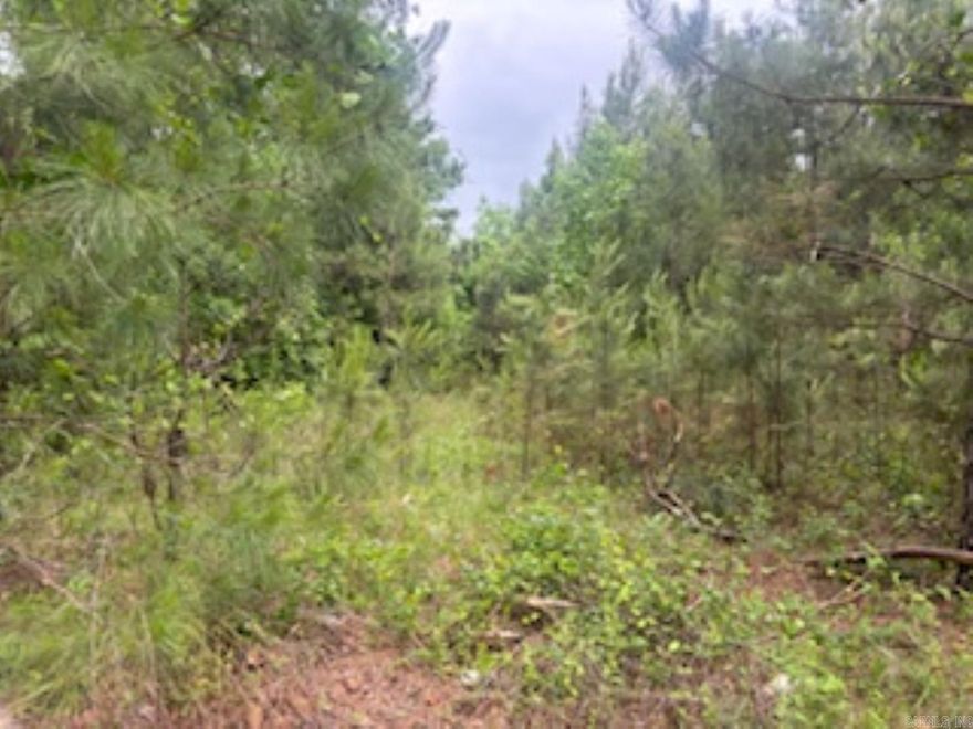 4.82 Acres of land in the city limits of Camden that has city utilities. City will allow mobile home aged 10 years old or less.
