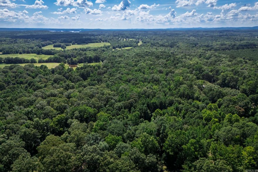 Discover 30 beautiful acres in Hot Spring County, ideally located right off Highway 128 in Bismarck. This unique property offers a perfect blend of wooded and pasture land, providing both privacy and open space for your dream home or recreational retreat. With utilities available at the road, it's ready for your vision to come to life. The land features a gorgeous creek that adds charm and tranquility to the setting. Whether you're looking to build, invest, or enjoy nature, this property is priced to sell and full of potential. Don't miss out on this incredible opportunity.