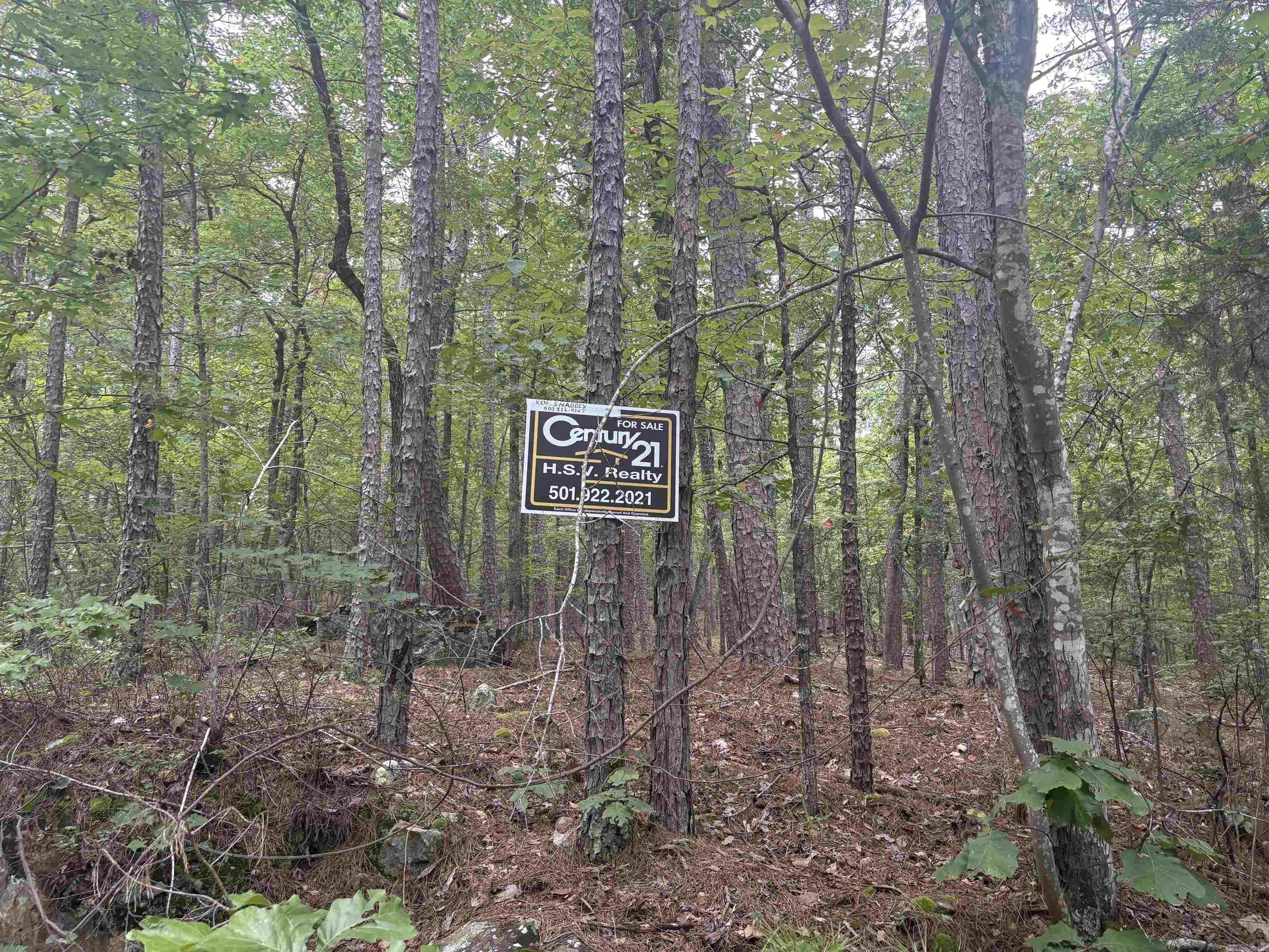 Wooded quiet street. Conveniently located close to the lake golf courses. west gate. Yet away from traffic and in pretty area.
