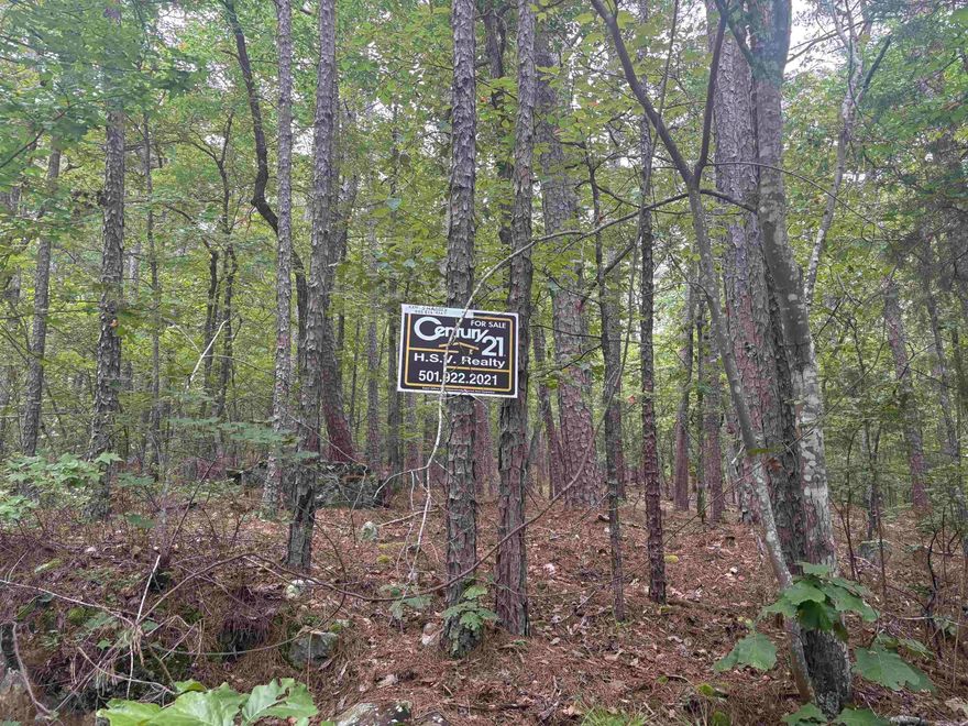 Wooded quiet street. Conveniently located close to the lake golf courses. west gate. Yet away from traffic and in pretty area.