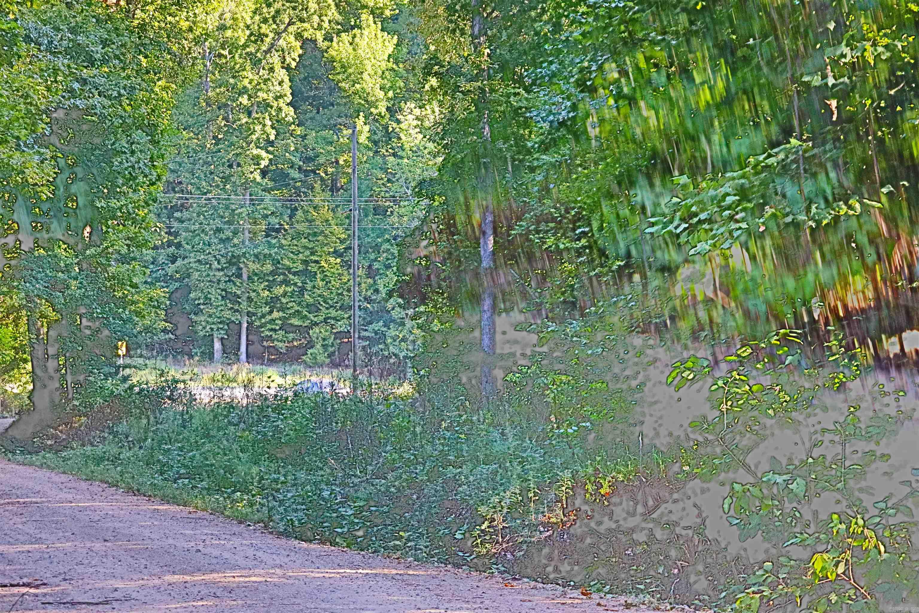 Don't let this only highway frontage just east of the Montgomery/Garland County line on Hwy 270E get away from you! Potential for any business of your choice. Great building site or RV lots and storage! National Forest is a skip away with great hunting and the lake is 4 miles down the road. Potential to buy additional adjoining property in a beautiful country setting!