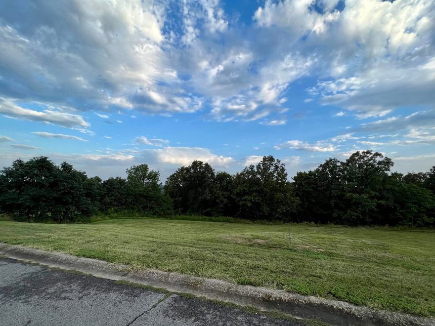 both lots are being sold together