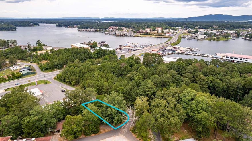 Located on Grand Isle Way in the middle of Lake Hamilton this 0.14 acre property offers visibility from Highway 7 South.  Less than a minute from Fisherman’s Wharf, Salty Dog Boating Center, and shopping center.  The property has ground level views of Lake Hamilton to the west and north with city water, sewer, and electricity at the street. Call about this unique opportunity near Lake Hamilton.