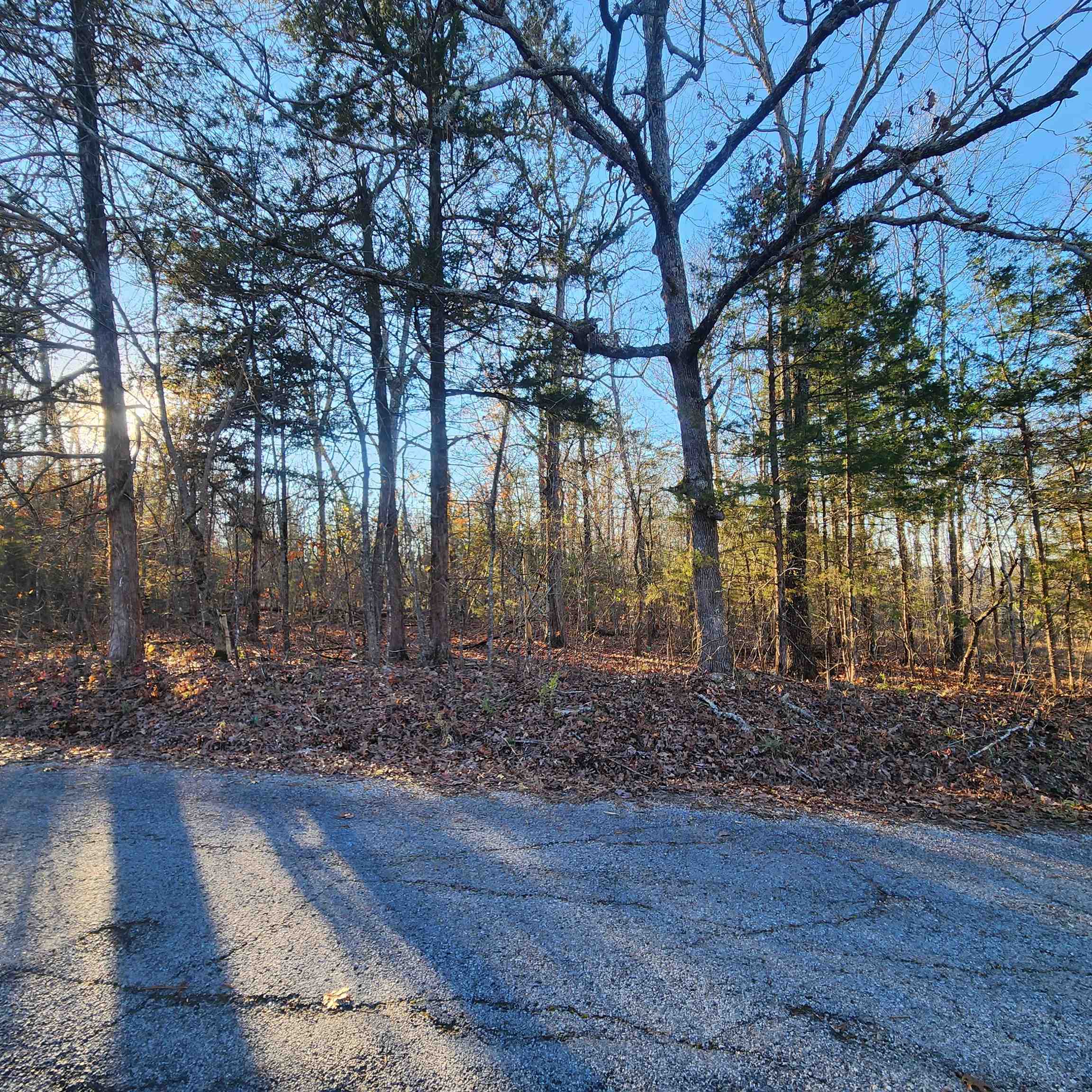Spring - Land
