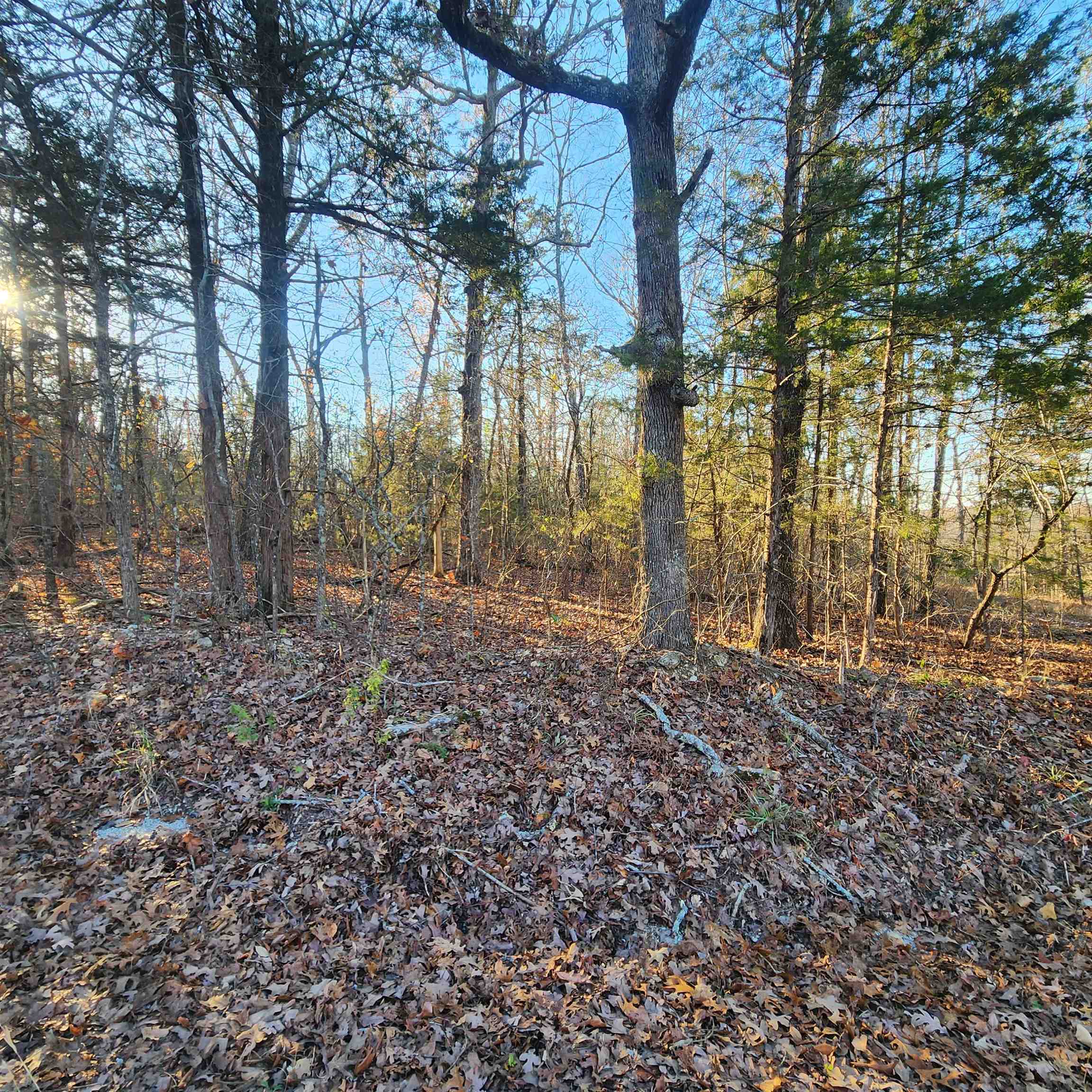 Spring - Land