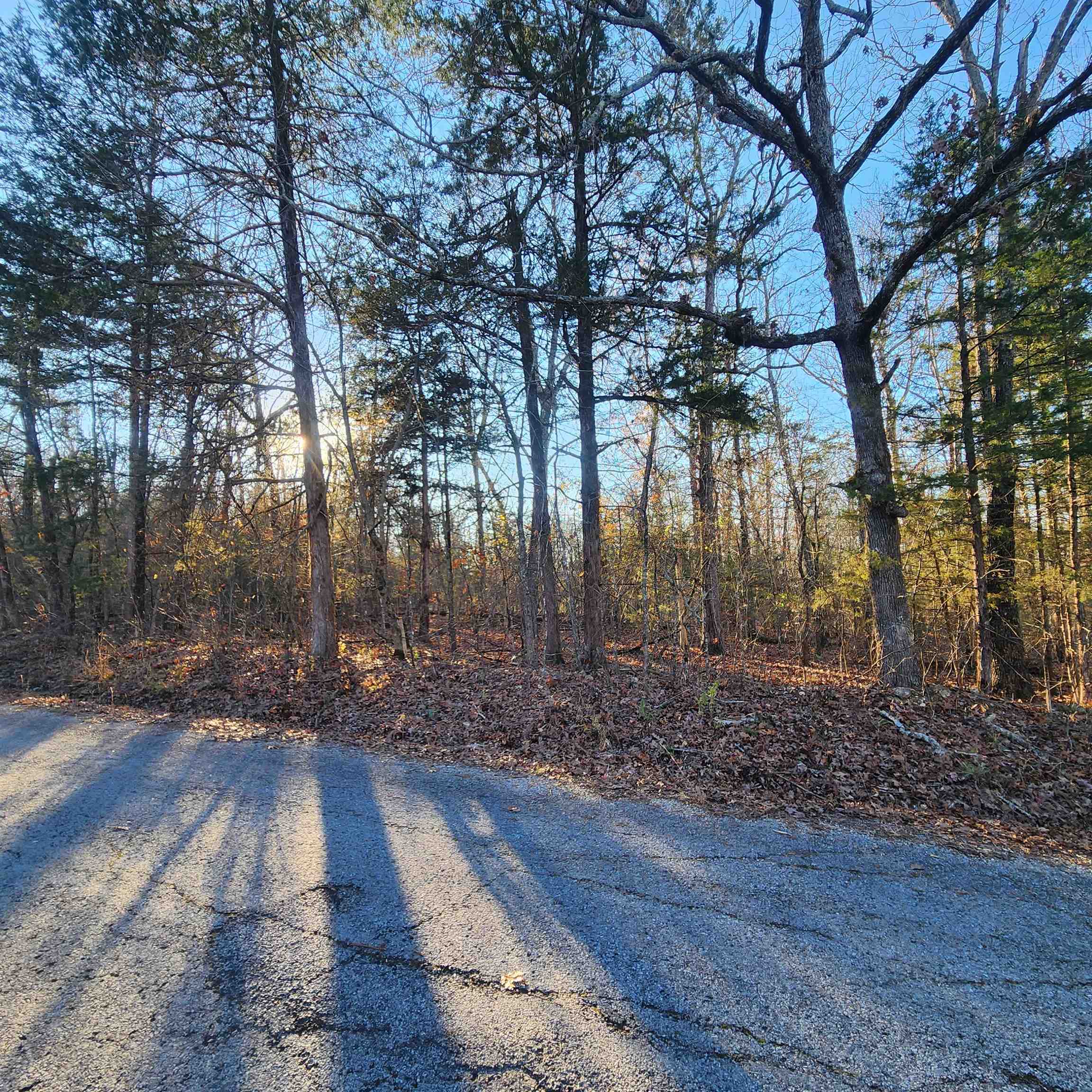 Spring - Land
