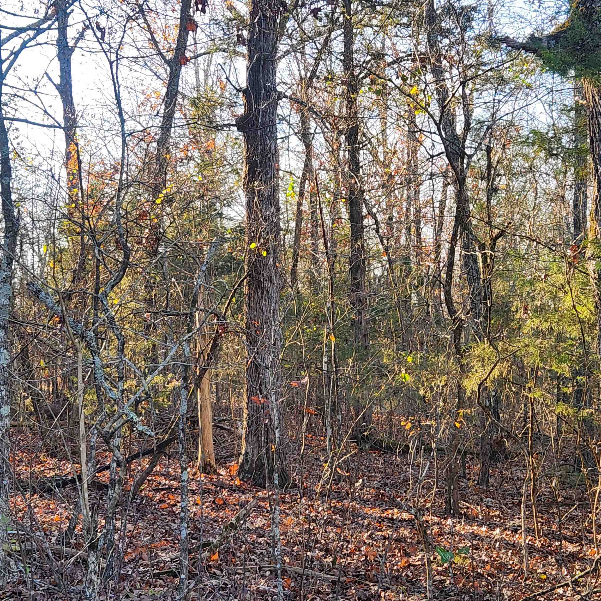 Spring - Land