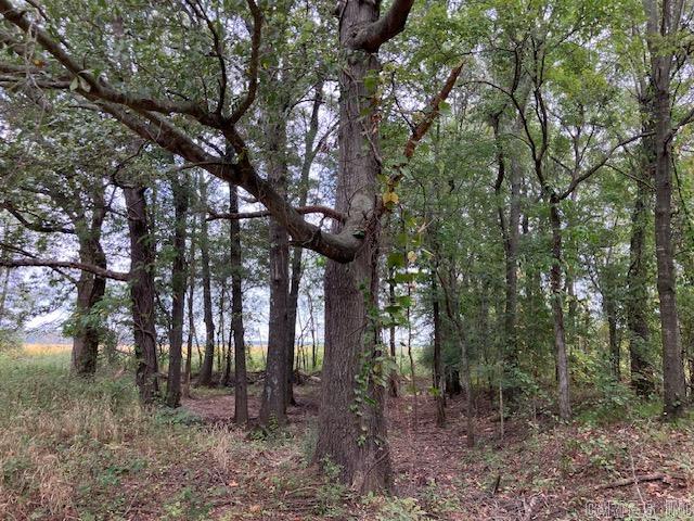 Randolph County - Land