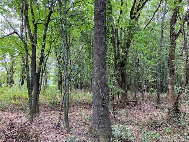 Randolph County - Land