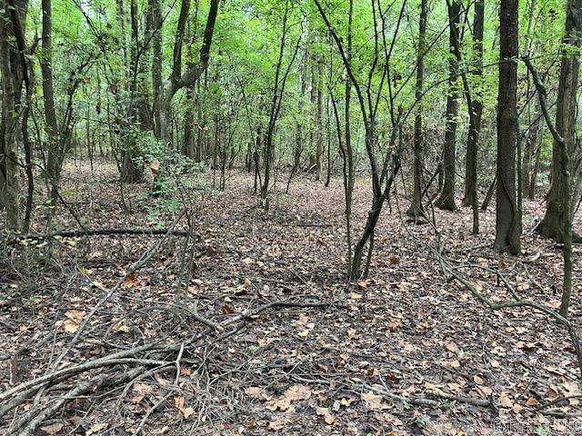 Randolph County - Land