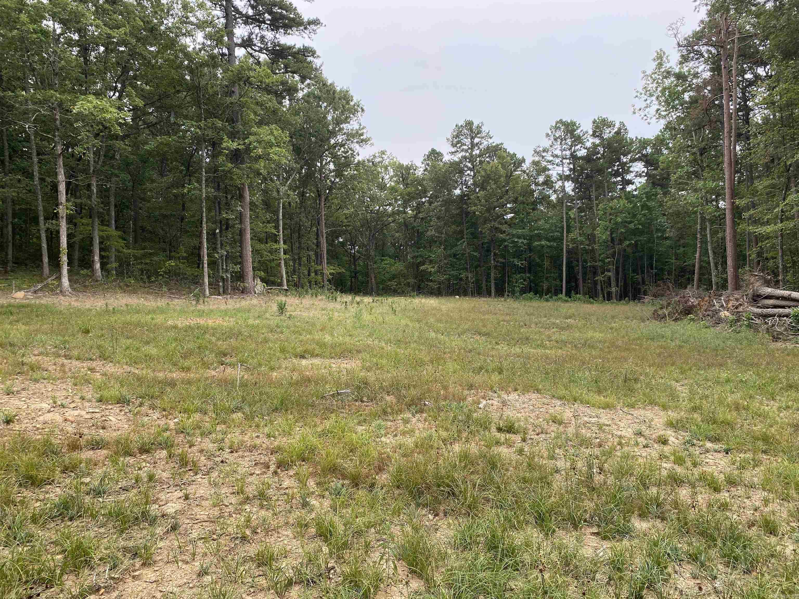 Looking for privacy to build your dream home? This beautiful 12.5-acre property sits on a quiet dead-end road just 10 minutes from Marshallāhome of the popular Kenda Drive-Ināand only 30 minutes from multiple Buffalo River access points. The land is mostly wooded with a mix of tall pine and hardwood trees, offering a private and peaceful setting, with abundant wildlife and no light pollution. A newly constructed driveway winds through the trees to approximately ¾ of an acre that has already been cleared, providing the perfect homesite and yard space. From your porch, youāll enjoy complete seclusion without views of the road. Rural water and electricity are available along the well-maintained county road for added convenience.