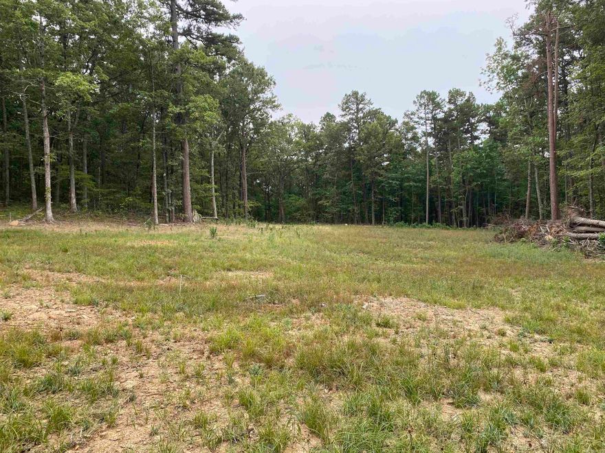 Looking for privacy to build your dream home? This beautiful 12.5-acre property sits on a quiet dead-end road just 10 minutes from Marshall—home of the popular Kenda Drive-In—and only 30 minutes from multiple Buffalo River access points. The land is mostly wooded with a mix of tall pine and hardwood trees, offering a private and peaceful setting, with abundant wildlife and no light pollution. A newly constructed driveway winds through the trees to approximately ¾ of an acre that has already been cleared, providing the perfect homesite and yard space. From your porch, you’ll enjoy complete seclusion without views of the road. Rural water and electricity are available along the well-maintained county road for added convenience.