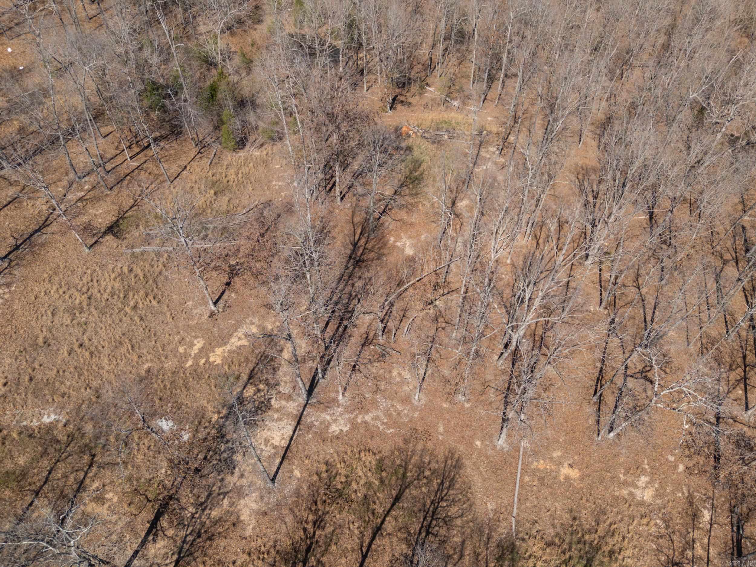 Oak Country Estates - Land