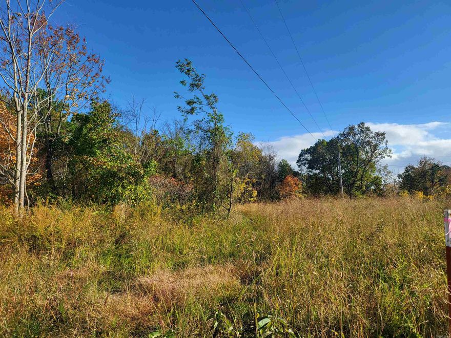 Escape to this 46-acre (m/l) parcel of COMPLETELY USUABLE land nestled in the heart of the Ozark Mountains, close to Mtn.View, White River, Leslie, & the Buffalo National River. Situated near Greers Ferry Lake & a short drive to Branson, MO, this land boasts unparalleled potential. Embrace the opportunity to craft a stunning farm or construct your idyllic cabin. It's an OASIS FOR HUNTING, a haven for nature lovers, or a serene retreat. Owner says PUBLIC WATER & ELECTRICITY is already there! Abundant Wildlife & HUNTING IS ALLOWED! In fact, there are NO RESTRICTIONS at all! Deer, turkey, bear, & a myriad of small animals call this land home. Of course the SPRING FED POND is a big draw to all the thirty animals! SECLUDED BUTCONVENIENT, just minutes away, you'll find the local COUNTRY STORE & some fantastic food ensuring you have essentials within easy reach. Access to the property is a breeze with ONLY 3/10 MILE OF DIRT RD, providing a touch of rural tranquility. There is NOT A WRITTEN OR RECORDED EASEMENT, however the current easement has been used by all previous landowners as well as the current one. Seize this rare opportunity to own a 46-acre gem in the Ozarks.